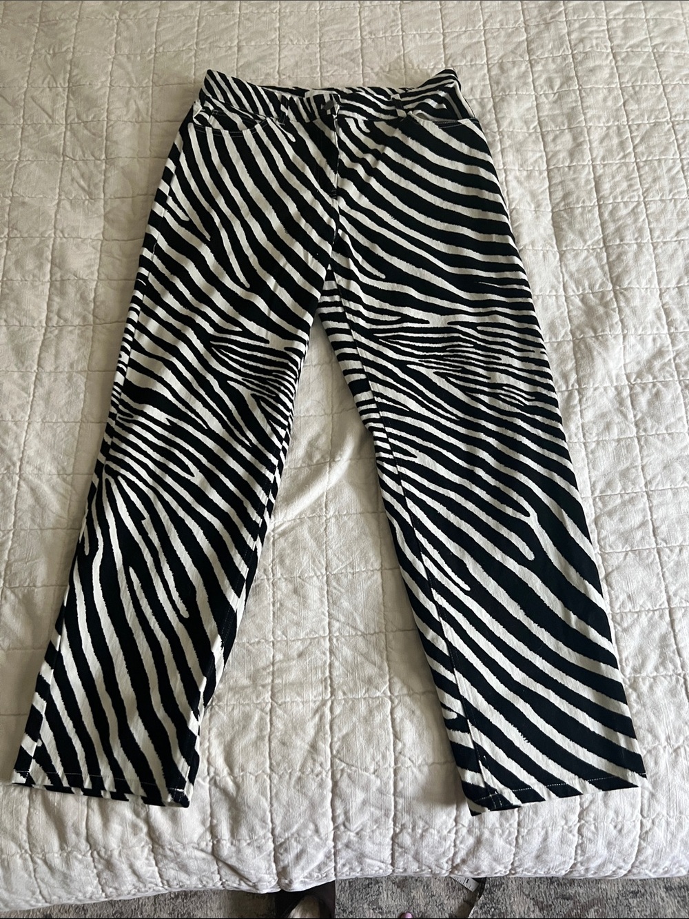 H&M Black and White Zebra Print Pants